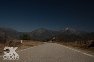 The back, or 2nd plate